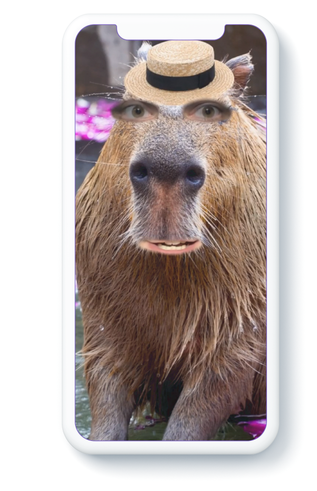 Preview of the AR filter Carpincho made by Robbie Conceptuel displaying a face on a capybara